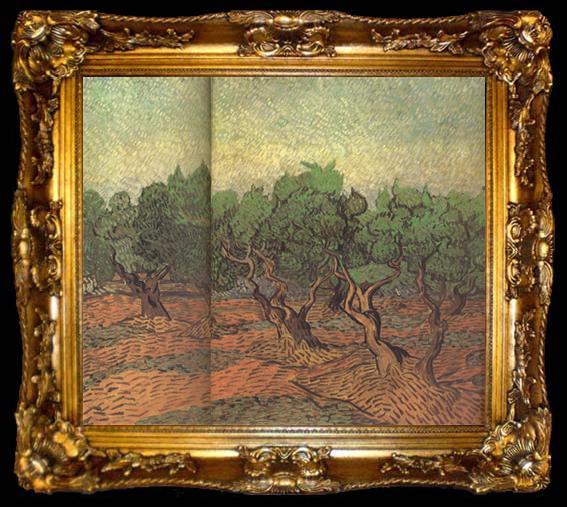 framed  Vincent Van Gogh Olive Grove (nn04), ta009-2